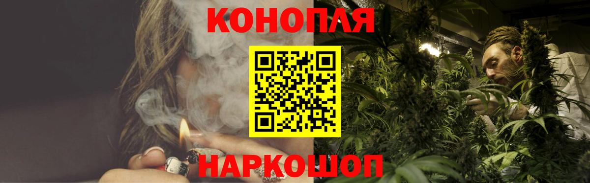 Бошки Шишки MAZAR Кимры